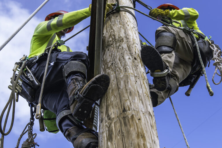 Linesmen climbing a wood pole
